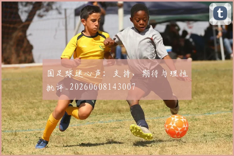 国足球迷心声：支持、期待与理性批评_20260608143007